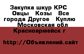 Закупка шкур КРС , Овцы , Козы - Все города Другое » Куплю   . Московская обл.,Красноармейск г.